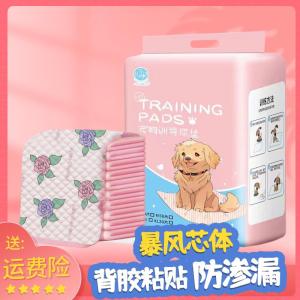 Instant Absorption Pet Urinal Pad Water Absorbing Odor Eliminating Dog Urinal Pad Printed Design Dog Urinal Mat Waterproof