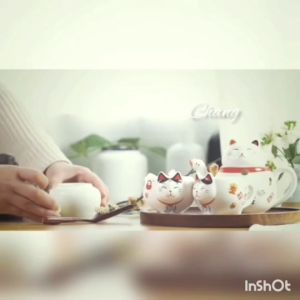 กาน้ำชาเซรามิกส์ 2 ใบ ลายแมวนำโชค พร้อมกล่อง มอบเป็นของขวัญ CH0399 🌈 พร้อมส่ง