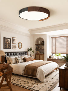 PAIMIJI | Eye-protection Full Spectrum Simple Modern Ceiling Light