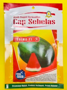 Benih Semangka SOIMA-F1 isi 300an biji dari CAP SEBELAS juos tenan!!