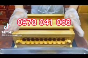 Khuôn làm viên trân châu tam thất mật ong 19mm(6g) bằng gỗ Dụng cụ vo viên hoàn viên tễ