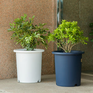 Alice Deepot Deep Basin Flower Pot Iron Wire Lotus Special Resin Alice Plastic Colorful Large Pot for Florals/Greens