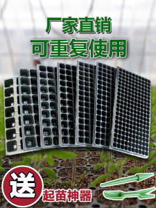 Seedling Tray Plug Nursery Basin Planting Plastic Seedling Cultivation Tray Feeding Block Seedling Feeder Tray Cutting Breeding Succulent Special