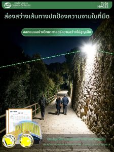 Hagesi | High Power Bright Outdoor Solar Courtyard Light