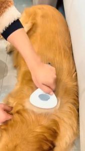 Cat & Dog Self-Cleaning Pet Grooming Brush - Anti-Scratch Soft Bristle for Hair Removal & Skin Health