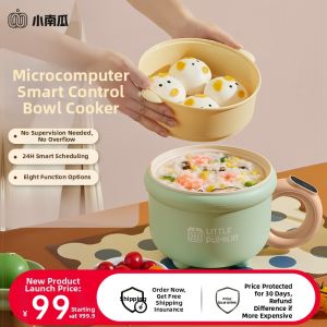 [China Plug Adapter Needed]Multi-functional Electric Hot Pot for Noodle Cooking