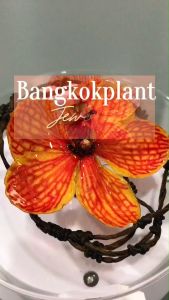 สร้อยข้อมือ  กล้วยไม้ Bracelet ทำจากดอกไม้จริง