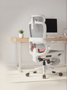 Musso | Ergonomic Chair for Comfortable Sitting