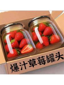 Fresh Strawberry & Peach Canned 510g