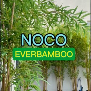 Noco EverBamboo Artificial Bamboo Tree with pot Realistic Bamboo Plant Tree Faux Tree Bamboo Home Decor