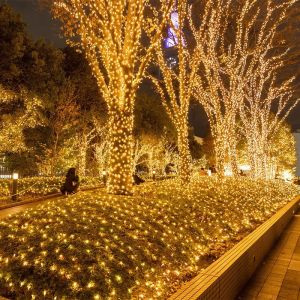 LED Garland String Lights 10m 30m 50m 100m Christmas Tree Wedding Decoration Waterproof Fairy Light Indoor Outdoor 220V EU Lamp