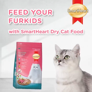 SmartHeart Dry Cat Food Kibbles 1.1-1.2kg | 9 Recipes 3 Functional Formulas - Kitten Adult Lactation