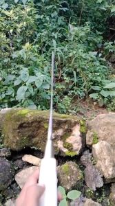 Alat Genggang Untuk Ngarit Rumput Sapi