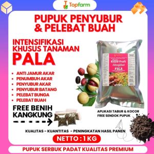 Pupuk Buah Pala Super Lebat / Pupuk Penyubur Tanaman Pala / Pupuk Tanaman Pala / Pupuk Pala / Pupuk Khusus Buah Pala / Pupuk Pohon Pala