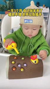 Woodpecker Feeding Game Mainan Edukasi Habitat Burung Perkutut /Owl/Mencari Makan Ulat Magnet