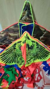 Diểu Đuôi Dài các loại diều Phượng Hoàng Thần Điêu Phụng Đen