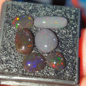 paket kalimaya banten murah jozz/kalimaya asi natural