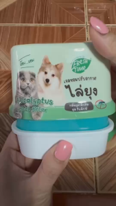 เฟรชไทม์ เจลหอมไล่ยุง กลิ่นยูคาลิปตัส คูล รีแล็กซ์ 180 กรัม - Freshtime Air Freshener Eucalyptus Cool Relax 180g