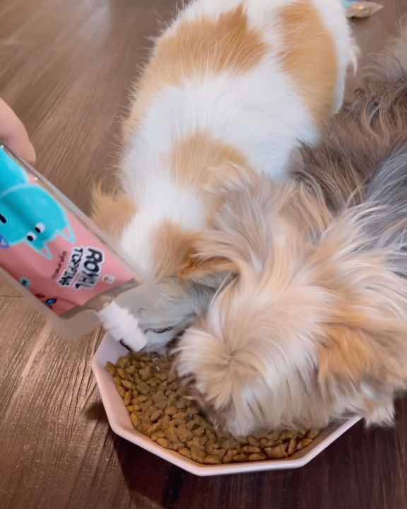 Royal Carft ผงโรย แก้เบื่ออาหาร Royal Topping รสไก่ ใช้โรยอาหาร