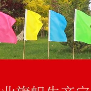 New 10-Pack Multicolor Fiesta Flags 70x110cm Vibrant Decorative Banners for Party & Outdoor Events