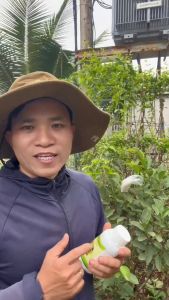 Thuốc sinh học NANO cao cấp trừ Nấm Bệnh thán thư rỉ sắt phấn trắng mốc sương vàng lá đốm đen - 100% tinh dầu Thảo Mộc