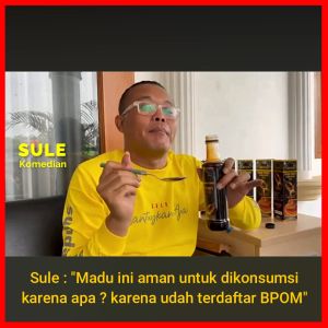 Madu Stamina Pahit Propolis Sambiloto dan Insuline Adawiyah 99 BPOM | Original 470 gram Madu Hitam