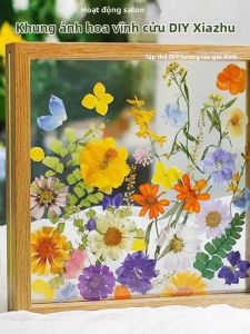 Clear Acrylic Frame for Pressed Flowers Specimen