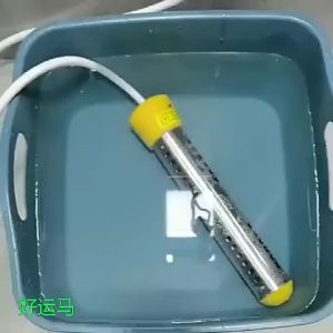 110V /220V Electric Heater Boiler Water Heating Element Portable Immersion Suspension Bathroom Swimming Pool water heater