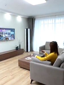 Giá ti vi nghiêng 21-65 inch ( giá treo gật gù điều chỉnh góc nghiêng) - Chính Hãng