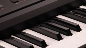 KORG Limitless 61 Keys Electric Piano Digital Electronic Performance Learning Entertainer Keyboard EK-50L/EK50/EK 50L