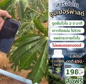 ซุปเปอร์ฟาส จับใบคุณภาพสูง  เร่งการดูดซึมเกาะติดแน่น เพิ่มประสิทธิภาพฉีดพ่นทางใบ ปุ๋ยน้ำ ฮอร์โมนพืช