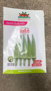 กระเจี๊ยบเขียว จัสโก้ [ ขนาด 20 กรัม ] หมดอายุ 03/2570 กระเจี๊ยบ ลอตใหม่ งอกดี ติดผลดก ข้อสั้น มีความต้านทานโรค ทนต่อแมลงได้ดี มีการเจริญเติบโตดี ผลผลิตสูง ขายง่าย