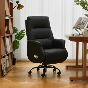BOJOJAN | Reclining Ergonomic Office Chair