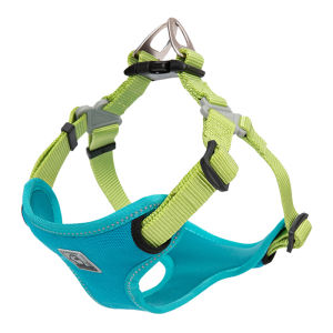 TRUELOVE Adjustable Dog Vest Harness Safety Nylon No Pulling Dog Harness Padded Reflective for Dog Breed Vest Walking Outdoor