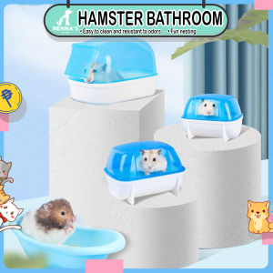 Ultimate Guide to Syrian Hamster Bath & Accessories