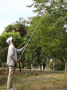 อุปกรณ์สอยผลไม้ ตะกร้อสอยผลไมั ที่สอยมังคุด ตะกร้อสอยมะม่วง ไม้ สอยผลไม้ (ด้ามยืดหดได้ 1.5/3/6/10M)สอยผลไม้ไม่ทำร้ายผลไม้