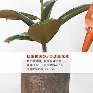 Gardening Water Plastic Bird Irrigation Equipment Drip Irrigation Horticulture Plant Moisture Plant Watering Device
