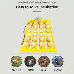 Full Automatic Eggs Incubator AC 220V Egg Turning Flower Egg Dish Eggs Tray Hatcher Poultry Egg Incubation Tool for Chicken Bird