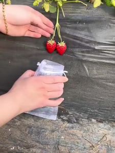 50Pcs 15×20cm 20×30cm Pembungkus Buah/Fruit Cover Anti Serangga/Kantong Jaring Pembungkus Buah