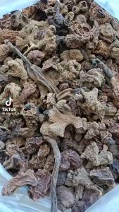 NẤM NGỌC CẨU PHƠI KHÔ - 500g