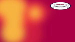 Fire X Fireproof Solution Spray Brush 500ml bottle Flame retardant spray fire retardant paint coating curtain carpet wood wallpaper