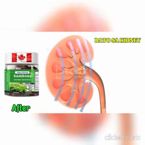 Sambong Herbal Gummies Kidney & Urinary Support for Kidney Stones 60 Gummies Canada Formula