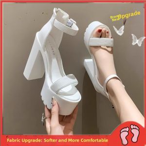 DIANCHA | Extreme Heel Thick Sole Chunky Sandal