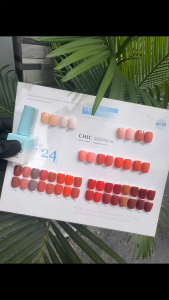 [HÀNG KHÔNG CÓ BẢNG MÀU] Set sơn gel VERY GOOD NAIL chính hãng 24 màu nail - Sơn móng tay tone hot Hàn Quốc