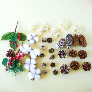 Christmas Little Acorns ACORN Natural Plant Preserved Fresh Flower Fruit Handmade DIY Photo Frame Wax Tag Decoration Props