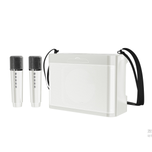 #20W Powerful Wireless Portable Dual Microphones Bluetooth Speaker Hifi Stereo Family Party Karaoke Subwoofer Boombox gifts 2026