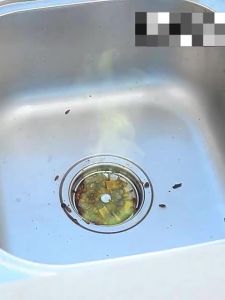 【SG STOCK】Sink Drain Cleaner Chemical for Kitchen Toilet Pipe Dredging Clear Choke Clear Pipe Sink Cleaner Pipe Cleaner 500ml