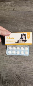 Five Celexin Trị Nhiễm Khuẩn Da Nhiễm Trùng Đường Tiết Niệu cho Chó Mèo