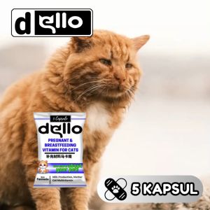 Vitamin Kucing Hamil Dan Menyusui Untuk Produksi ASI Kapsul FEFARM