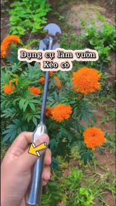 Cào nhổ cỏ tận gốc cầm tay cho vườn rau